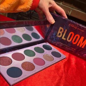 WOW POSHMARK - Authentic Klarity Kosmetics BLOOM 10 Pan Palette